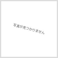 画像1: 進軍の喇叭【ノーマル】{RD/B002-JP005}《RD罠》