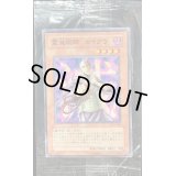 〔状態B〕(未開封)霊滅術師カイクウ【ノーマル】{PC3-006}《モンスター》
