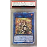 〔PSA10鑑定済〕灼熱の火霊使いヒータ【20thシークレット】{SAST-JP056}《リンク》