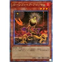 ローンファイアブロッサム【クォーターセンチュリーシークレット】{RC04-JP002}《モンスター》