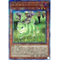 〔状態B〕未界域のジャッカロープ【クォーターセンチュリーシークレット】{RC04-JP014}《モンスター》