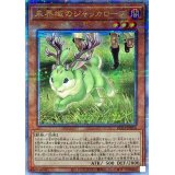 〔状態B〕未界域のジャッカロープ【クォーターセンチュリーシークレット】{RC04-JP014}《モンスター》