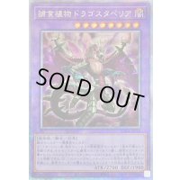〔状態B〕捕食植物ドラゴスタペリア【クォーターセンチュリーシークレット】{RC04-JP028}《融合》