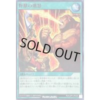 野獣の激怒【ノーマル】{RD/LGP1-JP046}《RD魔法》