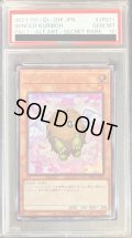 〔PSA10鑑定済〕(新)ハネクリボー【シークレット】{PAC1-JP011}《モンスター》