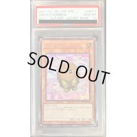 〔PSA10鑑定済〕(新)ハネクリボー【シークレット】{PAC1-JP011}《モンスター》