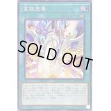 ☆アジア☆金科玉条【シークレット】{アジア23PP-JP004}《魔法》