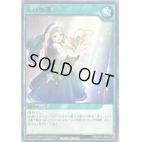 〔状態A-〕天の加護【ノーマル】{RD/VSP1-JP052}《RD魔法》