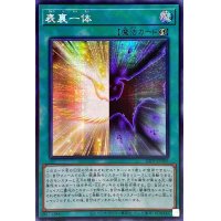 〔状態B〕☆アジア☆表裏一体【シークレット】{アジア23PP-JP005}《魔法》