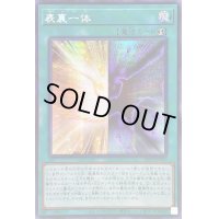 〔状態A-〕☆アジア☆表裏一体【シークレット】{アジア23PP-JP005}《魔法》
