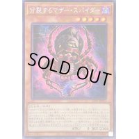 ☆アジア☆分裂するマザースパイダー【シークレット】{アジア23PP-JP013}《モンスター》