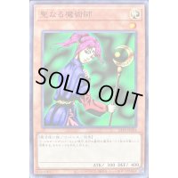 聖なる魔術師【ノーマル】{23TP-JP204}《モンスター》