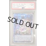 〔PSA9鑑定済〕クラリアの蟲惑魔【プリズマティックシークレット】{LIOV-JP046}《リンク》