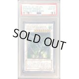 〔PSA10鑑定済〕スターダストドラゴン【レリーフ】{TDGS-JP040}《シンクロ》