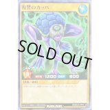 復讐のカッパ【ノーマル】{RD/B222-JP010}《RDモンスター》