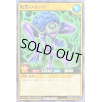 復讐のカッパ【ノーマル】{RD/B222-JP010}《RDモンスター》
