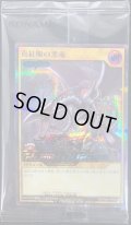 〔状態B〕(未開封)真紅眼の黒竜(当選通知書付き、ダンボール付き)【シークレット SPECIAL BLUE Ver.】{RD/P004-JP003}《RDモンスター》