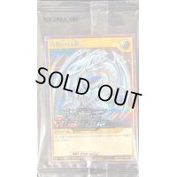 (未開封)青眼の白龍(当選通知書付き、ダンボール付き)【シークレット SPECIAL BLUE Ver.】{RD/P004-JP001}《RDモンスター》