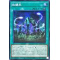 ☆アジア☆地縛牢【シークレット】{アジアAC03-JP024}《魔法》