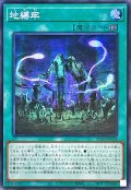 ☆アジア☆地縛牢【シークレット】{アジアAC03-JP024}《魔法》