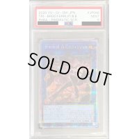 〔PSA9鑑定済〕鉄獣戦線徒花のフェリジット【プリズマティックシークレット】{PHRA-JP046}《リンク》