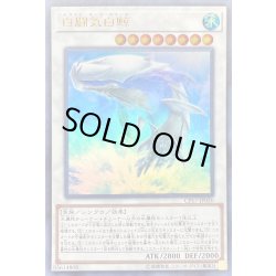 画像1: 白闘気白鯨【ウルトラ】{CP17-JP020}《シンクロ》