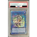 〔PSA10鑑定済〕IPマスカレーナ【20thシークレット】{CHIM-JP049}《リンク》
