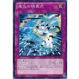 進化の特異点【ノーマル】{PRIO-JP077}《罠》