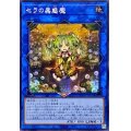 〔状態A-〕☆アジア☆セラの蟲惑魔【シークレット】{アジアSD45-JPP03}《リンク》