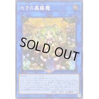 〔状態B〕☆アジア☆セラの蟲惑魔【シークレット】{アジアSD45-JPP03}《リンク》