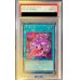 画像1: 〔PSA10鑑定済〕貪欲な壺【シークレット】{VP23-JP002}《魔法》 (1)