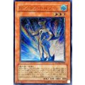 〔状態C〕Nアクアドルフィン【レリーフ】{POTD-JP003}《モンスター》