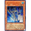〔状態B〕Nアクアドルフィン【レリーフ】{POTD-JP003}《モンスター》