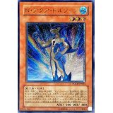 〔状態B〕Nアクアドルフィン【レリーフ】{POTD-JP003}《モンスター》