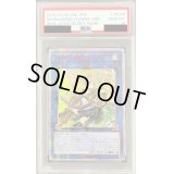 〔PSA10鑑定済〕☆アジア☆蒼翠の風霊使いウィン【20thシークレット】{アジアRIRA-JP046}《リンク》