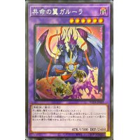 〔状態A-〕☆アジア☆共命の翼ガルーラ【シークレット】{アジアWPP4-JP049}《融合》