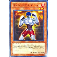 BKビッグバンテージ【ノーマル】{PRIO-JP008}《モンスター》