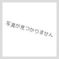 〔状態A-〕エクスコードトーカー【シークレット】{EXFO-JP038}《リンク》
