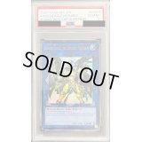 〔PSA10鑑定済〕天元の荒鷲王/KaiserEagle theHeavens'Mandate【ウルトラ】{2020-EN004}《リンク》