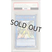 〔PSA10鑑定済〕天元の荒鷲王/KaiserEagle theHeavens'Mandate【ウルトラ】{2020-EN004}《リンク》