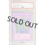 〔PSA9鑑定済〕レインボーネオス【レリーフ】{PTDN-JP044}《融合》