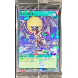(未開封)銀龍の轟咆【ノーマルパラレル】{RD/ECG1-JP010}《RD魔法》