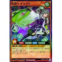 〔状態B〕陰陽士サカカゼ【スーパー】{RD/B224-JP003}《RDモンスター》