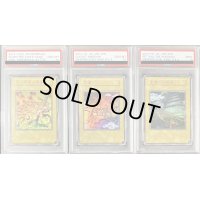 〔PSA9〜10鑑定済〕王国3枚セット(復刻版)【-】{-}《その他》