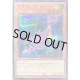 〔状態B〕精霊獣ペトルフィン【シークレット】{TW01-JP130}《モンスター》