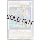 〔状態B〕氷結界の虎王ドゥローレン【シークレットパラレル】{TW01-JP037}《シンクロ》