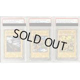 〔PSA6〜9鑑定済〕王国3枚セット【-】{-}《その他》