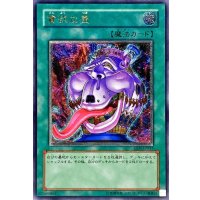 貪欲な壺【レリーフ】{EEN-JP037}《魔法》