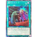 〔状態B〕墓穴の指名者【コレクターズ】{RC04-JP058}《魔法》