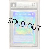 〔BGS8.5鑑定済〕閉ザサレシ世界ノ冥神【ホログラフィック】{BLVO-JP050}《リンク》
